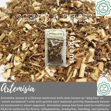 Natural Artemisia Annua, Dried Sweet Wormwood, Herbal Loose Leaves (4.0 oz)