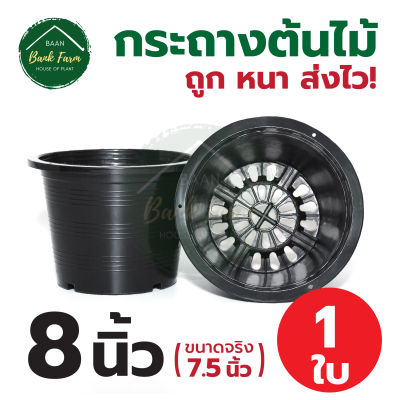 กระถาง8นิ้ว สีดำ (1ใบ) กระถางราคาถูก กระถางพลาสติก กระถางต้นไม้ l บ้านแบงค์ฟาร์ม