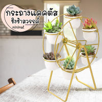 กระถางแคคตัส ?? ชิงช้าสวรรค์ หมุนได้ Cactus กระถาง ต้นไม้ กระถางปลูกต้นไม้ โครงสีทอง ปลูกแคคตัส ไม้สวยงาม ไม้อวบน้ำ ของแต่งบ้าน Luxury