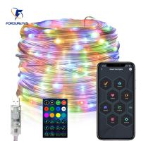 5m 10m Fairy Led Lights USB Dream Color Smart String Lights Remote APP Controller For Room Wedding Christmas Tree Decoration