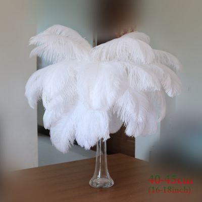▥♛✿ Natural 10pcs White Ostrich Feathers Wedding Home Decoration 15-20cm/25-30cm/30-35cm Ostrich Plumes Table Centerpiece Crafts