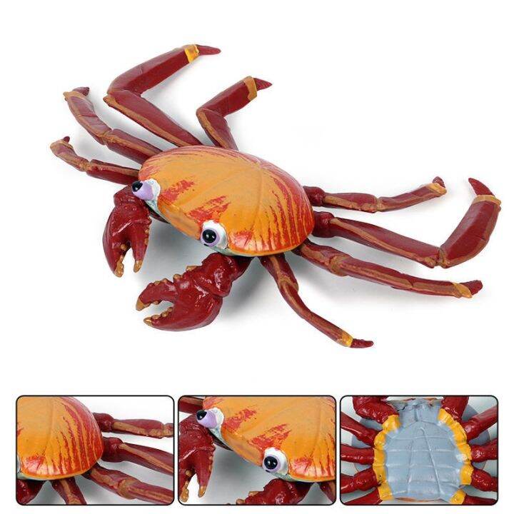 Simulation model of Marine sea creatures crab toy animals swimming crab