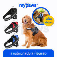 My Paws สายรัดอกสุนัข สุนัขใหญ่ เสื้อกั๊กสุนัข ปรับขนาดได้ มีแถบท้อนแสง (G)