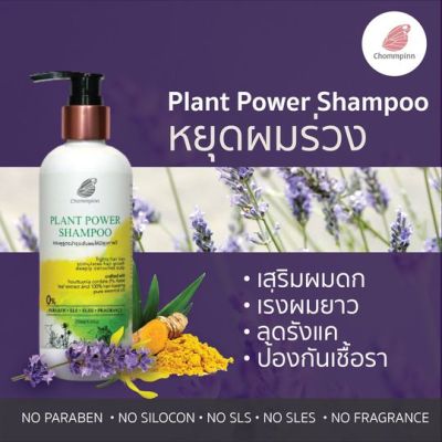 Chommpinn Plant Power Shampoo แชมพูสูตรลดการหลุดร่วงของเส้นผมและฟื้นฟูหนังศีรษะ (250 ml)