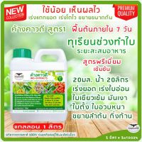 ทุเรียนช่วงทำใบ เอาใบ เพิ่มใบ ใบใหญ่หนาเขียวเข้มมันเงา ค้างคาวดี(สูตร1)1ลิตร เร่งยอด ปุ๋ยน้ำทางใบ บำรุงสะสมอาหาร ปุ๋ยฉีดบำรุงทุเรียน