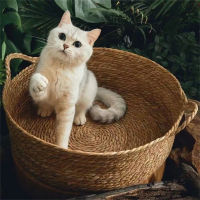 Cat Gog Bed Rattan Four Season Cat Bed Summer Cool Nest Cat Supplies Cattail House Nest Cama De Mimbre Para Mascotas