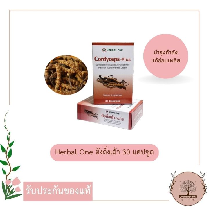 herbal-one-ตังถั่งเฉ้า-cordyceps-plus-30-แคปซูล-ถั่งเช่า-อ้วยอันโอสถ