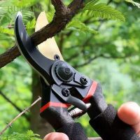 【Ready Stock】 ۩●﹍ D50 HUIJIANG Durable Scissor Straight Grafting Tools Garden Pruner Branch Tool Ergonomic Trimmer Garden Supplies Gardening Pruning Pruning Shear/Multicolor