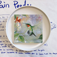 20 ชิ้น/ถุง Vintage Hummingbird ดอกไม้ Decoupage กระดาษเช็ดปาก Wild Birds กระดาษทิชชูสำหรับบนโต๊ะอาหารปาร์ตี้ Xmas อุปกรณ์ 25x25cm-Cgefeng