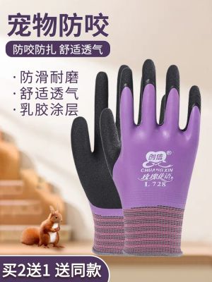 High-end Original Buy 1 get 1 free pet anti-bite gloves anti-piercing rubber hamster supplies men and women adult anti-cat scratch feeding parrot rabbit