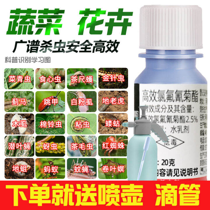 Soil Insecticide Flower Plant Household Insecticide Green Flower Pot Xiaoheifei Special