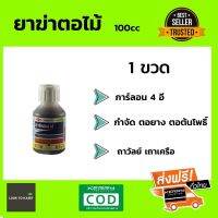 ยาฆ่าตอไม้ ตอยา ตอต้นโพธิ์ การ์ลอน 4อี  ขนาด 100cc จำนวน 1 ขวด by lookforonline