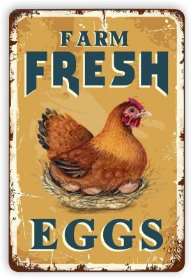 Farm Fresh Eggs Tin Signs - Vintage Country Chicken Hen Rooster Tin Signs Home Kitchen Wall Decor 8x12Inch