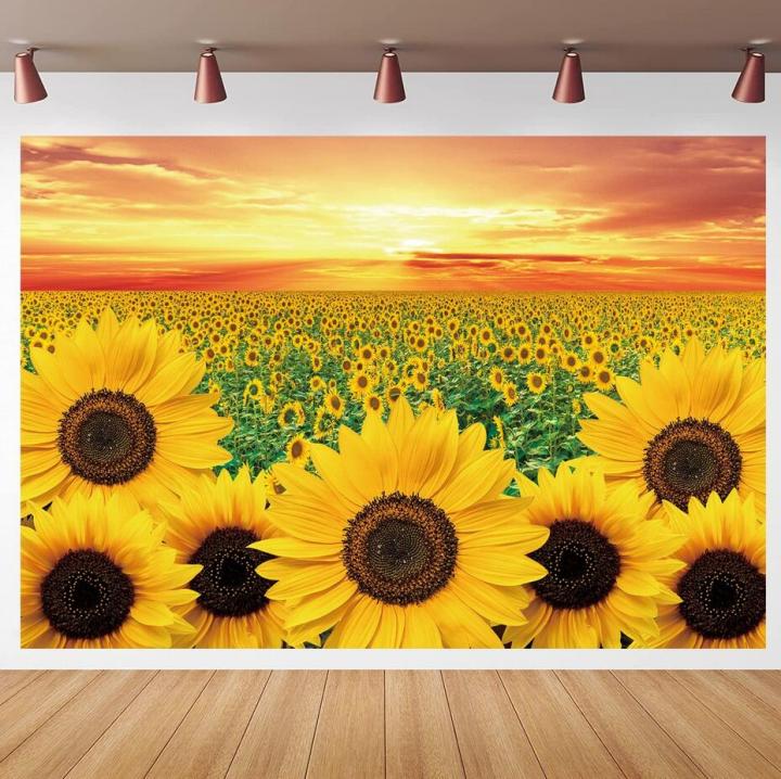 Sunflowers Field Floral Sunset Backdrop Nature Yellow Flower Fields