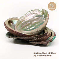 Aroma&amp;More  Abalone shell เปลือกหอยอะบาโลน สำหรับวางไม้ปาโล ซานโตหรือไวท์เสจ หลังจุด(หอยเป๋าฮื้อ)ขนาด 11-12cm งานสวย