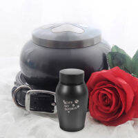 OUNONA สแตนเลส Pet Urn กล่องหน่วยความจำ Urn Pet Ashes Urn Small Keepsake Urn