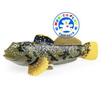 Munich Play - โมเดล Mud Skipper Fish ปลาตีน ขนาด 11.00 CM (จากหาดใหญ่)