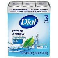 Dial Refresh &amp; Renew SPRING WATER Bar Soap Antibacterial Skin ไดออล รีเฟรช แอนด์ รีนิว สปริง วอเทอร์ สบู่ก้อน แอนตี้แบคทีเรีย 113g. x 3ก้อน