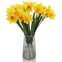 Artificial Daffodils Flowers Narcissus Fake Silk Flower Arrangement For Home Wedding Party Office Table  Decor Garden Outdoor Indoor Decora Bedroom Dinning Room Decora