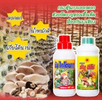 ซันฮีโร่+ซันไคโตซาน ขนาด 500cc  (อย่างล่ะ 1ขวด)  สารสกัดจากธรรมชาติ ลดต้นทุนเพิ่มผลผลิตดิน มีคุณภาพ  เร่งราก เร่งใบ เร่งผล