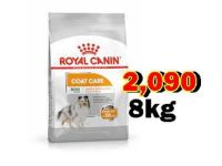 Royal Canin Mini Coat Care 8Kg. สูตรบำรุงขน อาหารเม็ดสำหรับสุนัขพันธุ์เล็ก Exp:01/2024