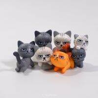 แมวซ่าหน้าบึ้ง Ailsen 6 ชิ้น MINI แมวกริ้ว PVC CRAFT Miniature ตุ๊กตาประดับสวนขวด น่ารักมาก