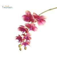 Tworsen 1Pc Artificial Flower Butterfly Orchid Party Desktop Home