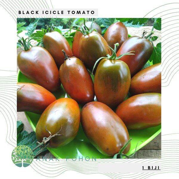 Benih Bibit Biji - Tomat Black Icicle Tomato Seeds | Lazada PH