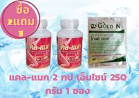 Cal-Mag แคล-แมก แคลเซียม-แมกนีเชียม PGP (2 กระปุกx 60 แคปซูล)หมดอายุ6/67เอนไซน์ 250 กรัม 1 ซอง​ ของใหม​หมดอายุ9/67