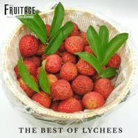 ลิ้นจี่จุกบี้จี่ Lychee (CHINA) (1ตะกร้า/2กก.) ~ลดพิเศษ~จัดส่งฟรีแช่เย็น~ PREMIUM ลิ้นจี่จุกบี๋จี้ จุกบี๊จี่ ลิ้นจี่จีน ลิ้นจี่นำเข้า ลิ้นจี่นอก