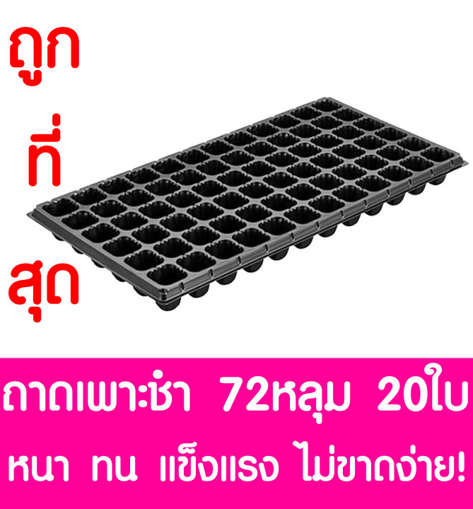 ถาดเพาะกล้า-ถาดเพาะชำ-72หลุม-20แผ่น-ถาดเพาะต้นกล้า-ถาดเพาะกล้า-ถาดเพาะต้นอ่อน-ถาดเพาะเมล็ด-ถาดเพาะข้าว-ถาดเพาะปลูกผัก-ปลูกต้นไม้