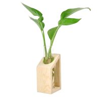 【CW】◑♙  Desktop Vase Glass Test Tube In Pots Hydroponic Garden Decoration Shelves