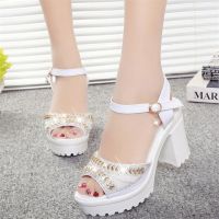 New Fashion Womens Sandals Summer Diamond Fish Mouth Muffin Platform High Heels Womens Shoes Office Career Square Heel Buckle