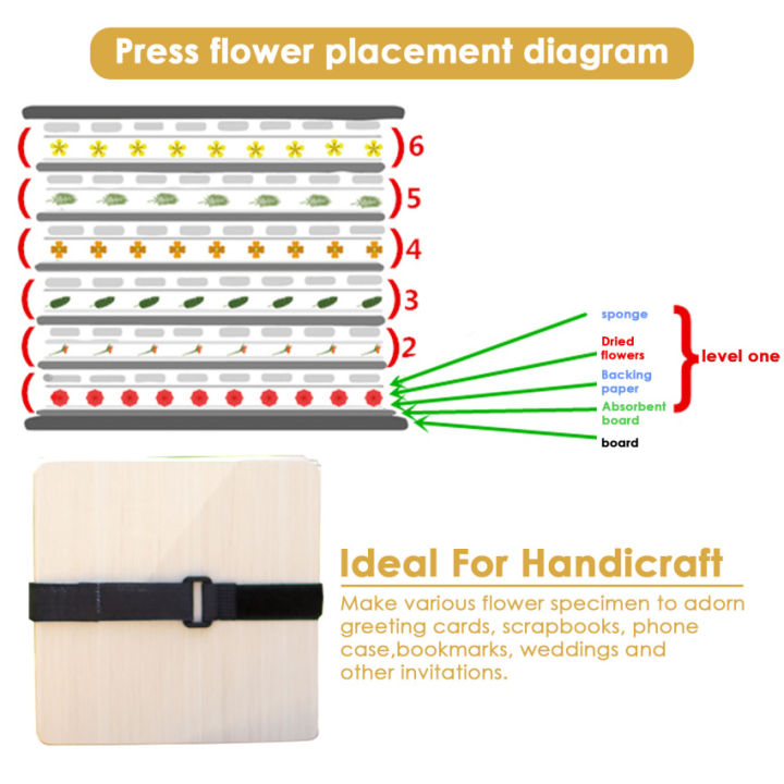 worown-ชุดกดดอกไม้มืออาชีพขนาดเล็ก-กดใบไม้กดพืชกด6x6นิ้ว4ชั้นแฟ้มกดธรรมชาติ