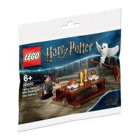 LEGO Harry Potter -Harry Potter and Hedwig polybag (30420)