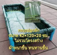 กะบะป​ลูกผัก​ขนาด​ 42x120x20 ซม. ไม่รวมโครงท่อพีวีซี กะบะเพาะปลูก​ กะบะปลูกผัก ถุงเพาะปลูก ไม่รวมโครงท่อ แปลงป​ลูกผัก​ แปลงผักเพาะปลูก​ ถุงเพาะ พืชผักสวนครัว