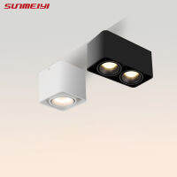 Surface Mounted Square Downlight Double Head Daring Lamp Nordic Spot Light Ceiling Surface Light Corridor Aisle Porch