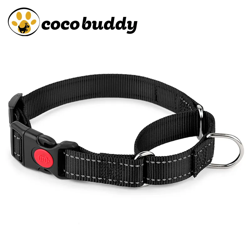 Elastic on sale dog collar