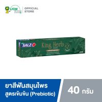 Salz King Herb ยาสีฟัน เกลือสมุนไพร สูตรเข้มข้น ซอลส์ คิงเฮิร์บ 40 กรัม