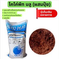 โคโค่พีท บลู 80 ลิตร ขุยมะพร้าวเนื้อหยาบปานกลาง ล้างแทนนินลดค่าโซเดียม เพิ่มปุ๋ย และผ่านการฆ่าเชื้อโรคด้วยรังสี