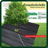 [5ผืน] ผ้าคลุมดิน ขนาด 1*1เมตร น้ำซึมผ่านได้ ป้องกันรังสี UV พลาสติกคลุมวัชพืช พลาสติกคลุมดิน หมดปัญหาหญ้าขึ้นกวน คลุมดินกำจัดวัชพืช