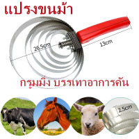 ราคาถูกสุด แปรงขนวัว แปรงเกาขนวัว แพะ แกะ ม้า 4/6 วง สแตนเลสแท้