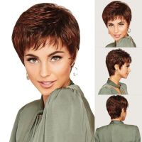 JOY&amp;BEAUTY Short Red Wine Brown Synthetic Hair Wigs for Black Women Female Haircut Puffy Straight Natural wig