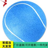 [COD] 8 Inch Inflatable Tennis Childrens Wholesale Factory Sale