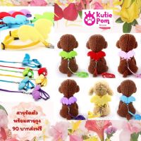 Kutiepom ชุดสายจูง สายรัดตัว นางฟ้า น่ารักมาพร้อมสายจูงสำหรับสัตว์เล็ก Size S Pet Harness with Angel wings