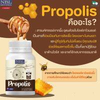 NBL propolis โพรโพลิส ป้อง กันการติดเชื้อแบคทีเรีย เส ริมภูมิคุ้มกัน รัก ษาสิว เส้นเลือดฝอย  1กระปุก30แคปซูล