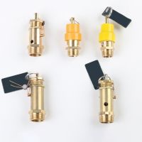 ✢⊕✈ 1Pcs Air pump Spring type Vent valve Gas Tank Pressure relief Safety Valve 8/12/16Kg Air Compressor Vent screw Pneumatic Bonnet