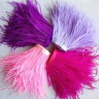 ✟∏ 10-15CM Multicolor Ostrich Feathers Trim 2Meter 5Meter 10Meter Natural Plumes Selvage Tassel Ribbon For Wedding Dress Decoration