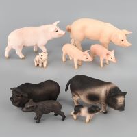 [AhQ ornaments] 9ชนิดหมูรุ่นสัตว์รูปการกระทำตุ๊กตาส่วนเด็กของเล่น