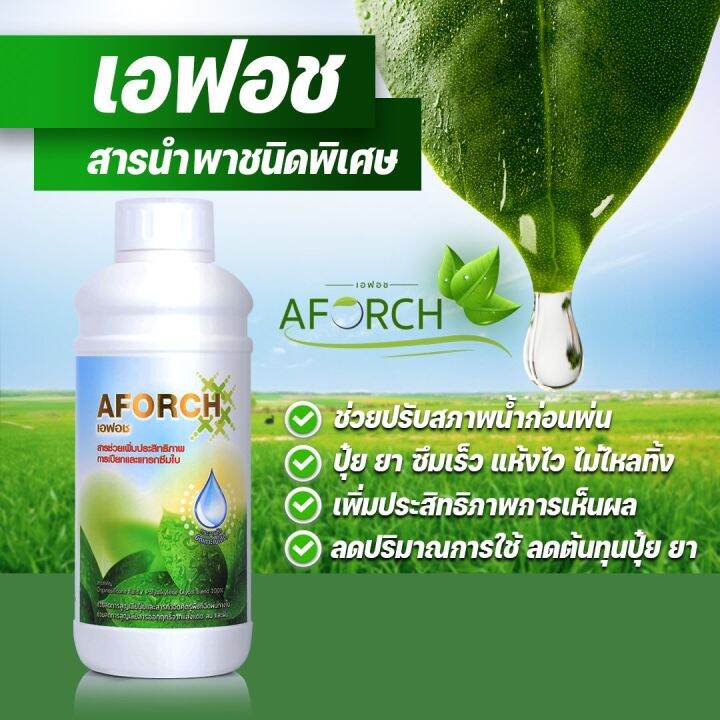 เอฟอชสารจับใบ-aforch-สารดูดซึมเอฟอช-ช่วยเพิ่มประสิทธิภาพการเปียกและแทรกซึมใบช่วยลดการใช้-ขนาด-1-ลิตร-สารจับใบ-ชนิดพิเศษ-เร่งการดูดซึม